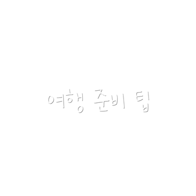 여행 준비 팁