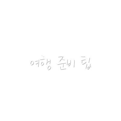 여행 준비 팁