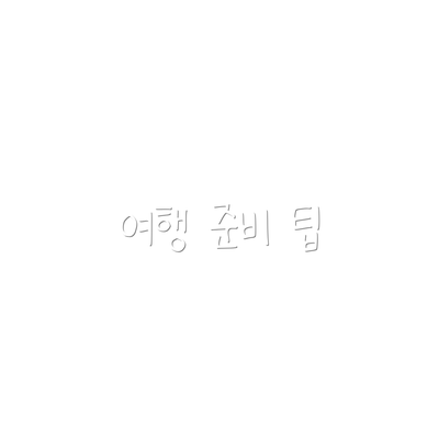 여행 준비 팁
