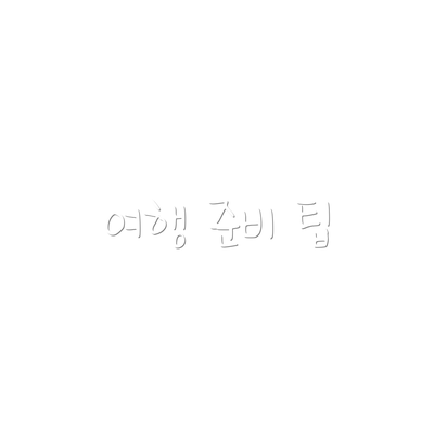 여행 준비 팁