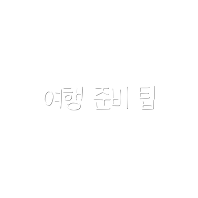 여행 준비 팁