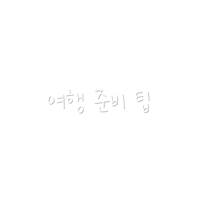 여행 준비 팁