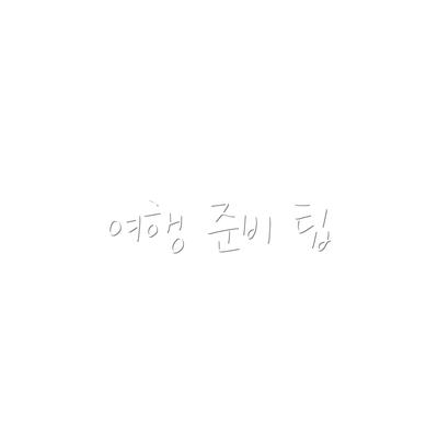 여행 준비 팁