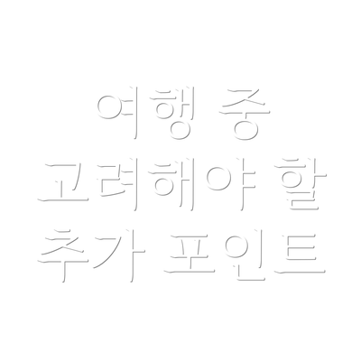 여행 중 고려해야 할 추가 포인트