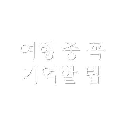 여행 중 꼭 기억할 팁