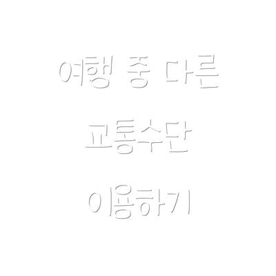 여행 중 다른 교통수단 이용하기