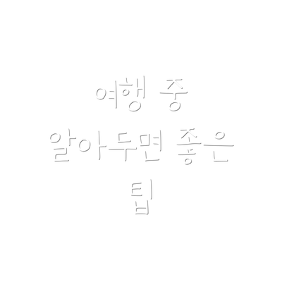 여행 중 알아두면 좋은 팁