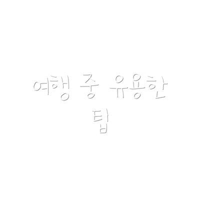 여행 중 유용한 팁