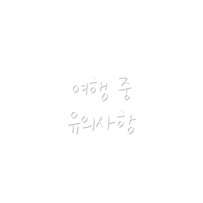 여행 중 유의사항