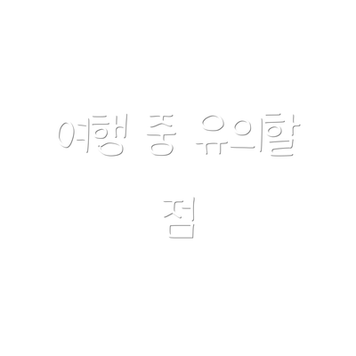 여행 중 유의할 점