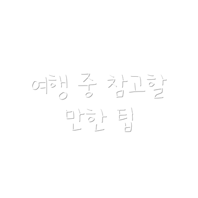 여행 중 참고할 만한 팁