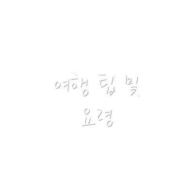 여행 팁 및 요령
