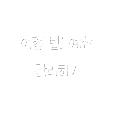 여행 팁: 예산 관리하기