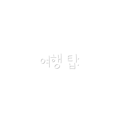 여행 팁: