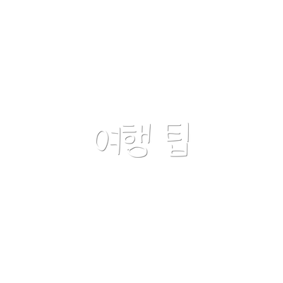 여행 팁
