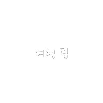 여행 팁
