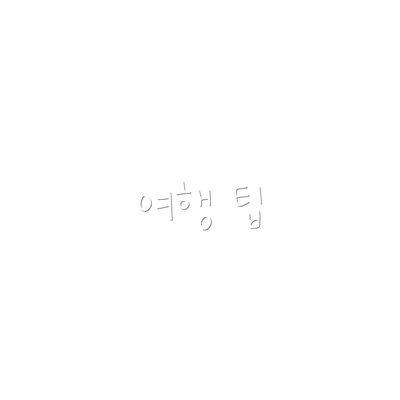 여행 팁