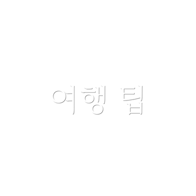 여행 팁