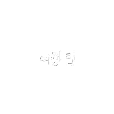 여행 팁