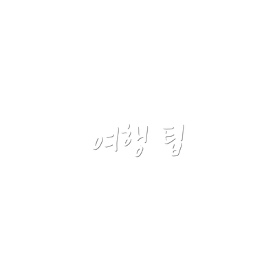 여행 팁