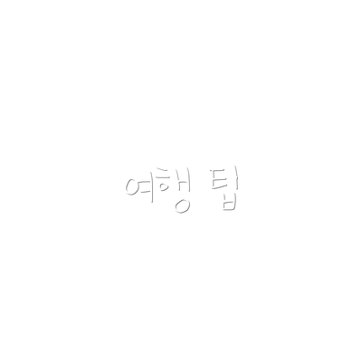 여행 팁