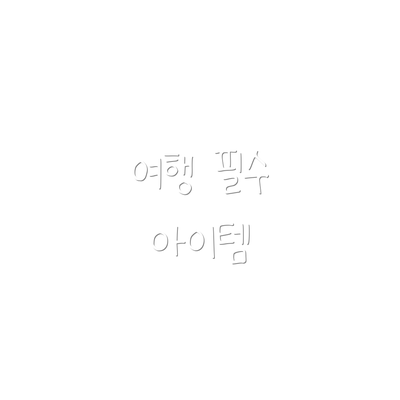 여행 필수 아이템
