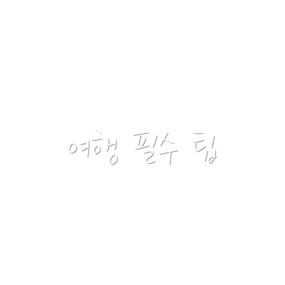 여행 필수 팁