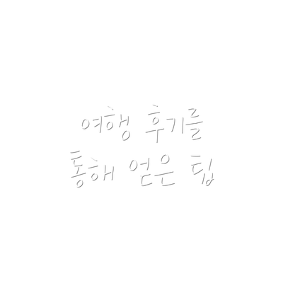 여행 후기를 통해 얻은 팁