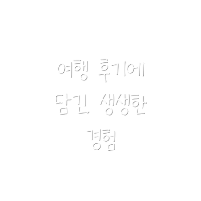 여행 후기에 담긴 생생한 경험