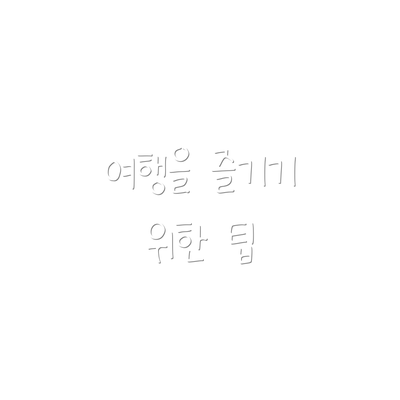 여행을 즐기기 위한 팁