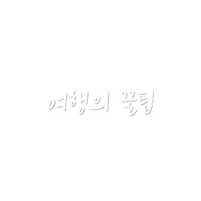 여행의 꿀팁