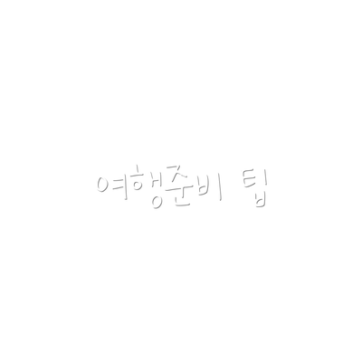 여행준비 팁