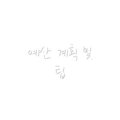 예산 계획 및 팁