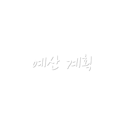 예산 계획