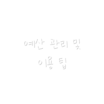 예산 관리 및 이용 팁