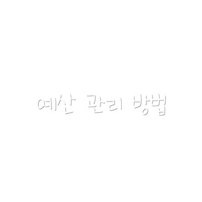 예산 관리 방법