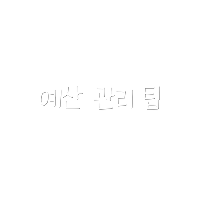 예산 관리 팁