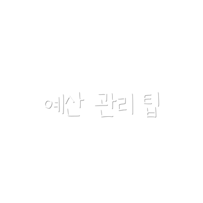 예산 관리 팁