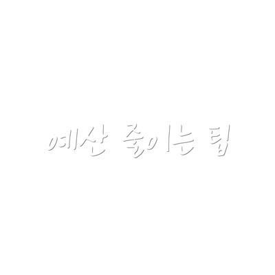 예산 줄이는 팁