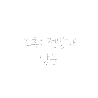 오후: 전망대 방문