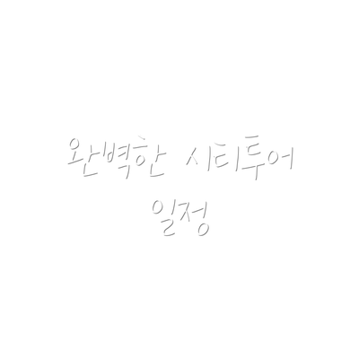 완벽한 시티투어 일정