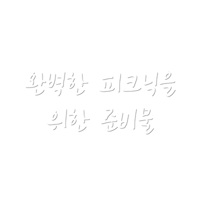 완벽한 피크닉을 위한 준비물