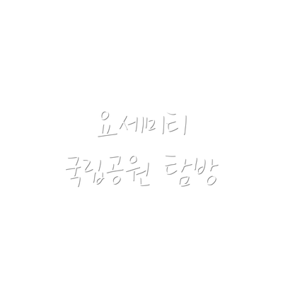 요세미티 국립공원 탐방