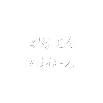 위험 요소 이해하기
