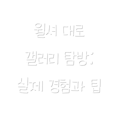 윌셔 대로 갤러리 탐방: 실제 경험과 팁