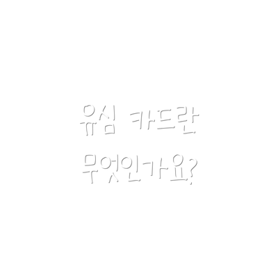 유심 카드란 무엇인가요?