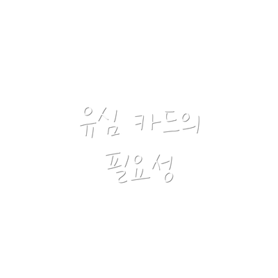 유심 카드의 필요성