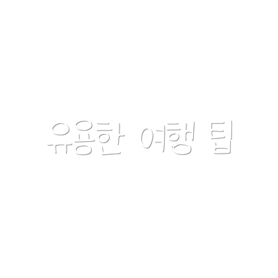 유용한 여행 팁