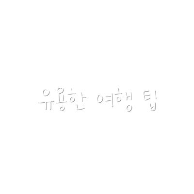 유용한 여행 팁