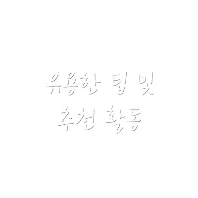 유용한 팁 및 추천 활동